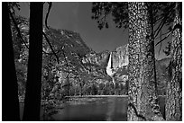 Yosemite Falls and flooded meadow framed by pines. Yosemite National Park, California, USA. (black and white)