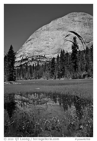 Half-Dome reflected in Lost Lake. Yosemite National Park, California, USA.