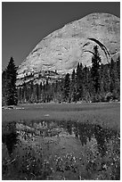 Half-Dome reflected in Lost Lake. Yosemite National Park ( black and white)
