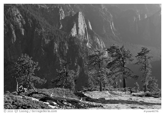 Sentinel Rock and valley from North Dome. Yosemite National Park (black and white)
