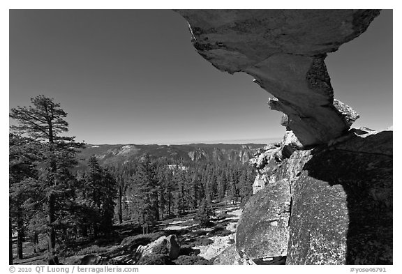 Indian Rock arch and forest, morning. Yosemite National Park (black and white)