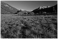 Meadow in Lyell Canyon, late afternoon. Yosemite National Park, California, USA. (black and white)