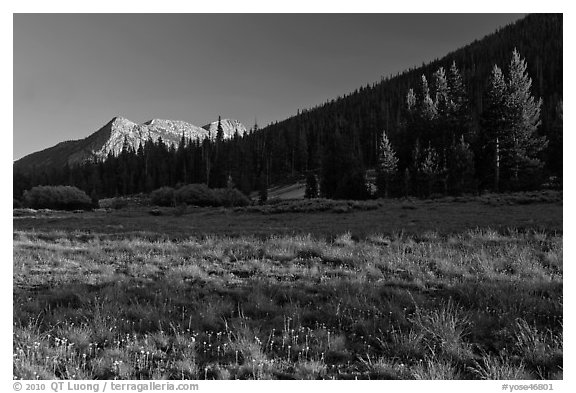 Meadow and Potter Point, Lyell Canyon. Yosemite National Park (black and white)