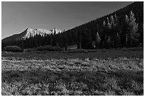 Meadow and Potter Point, Lyell Canyon. Yosemite National Park, California, USA. (black and white)