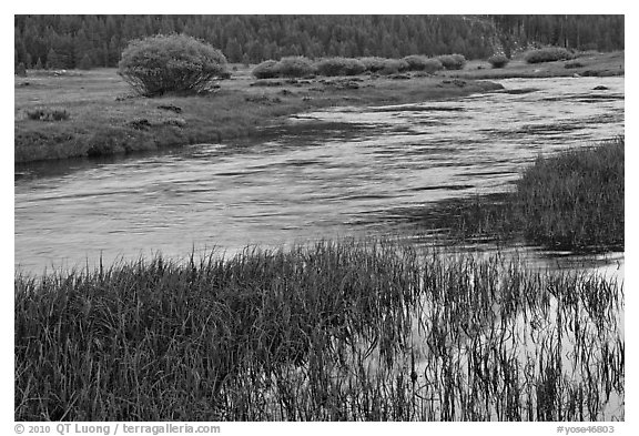 Late afternoon reflections, Lyell Fork of the Tuolumne River. Yosemite National Park (black and white)