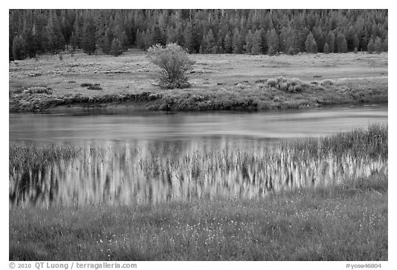 Hills reflected in stream, Lyell Canyon. Yosemite National Park (black and white)