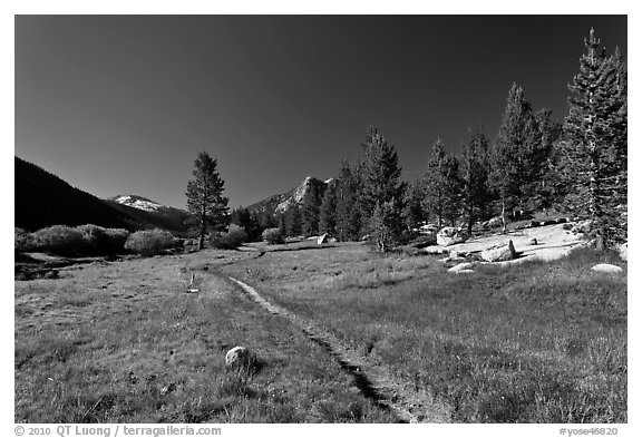 Pacific Crest Trail, Lyell Canyon. Yosemite National Park (black and white)