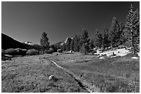 Pacific Crest Trail, Lyell Canyon. Yosemite National Park, California, USA. (black and white)