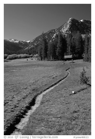 John Muir Trail, Lyell Canyon. Yosemite National Park (black and white)