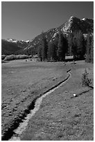 John Muir Trail, Lyell Canyon. Yosemite National Park ( black and white)