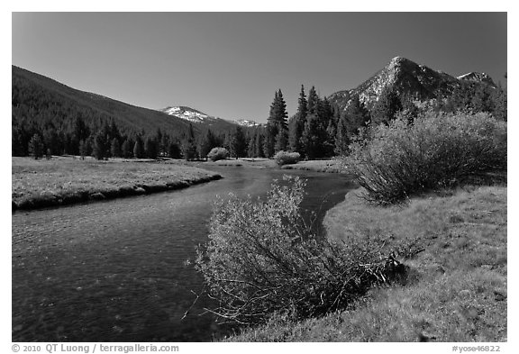 Tuolumne River in Lyell Canyon, morning. Yosemite National Park (black and white)
