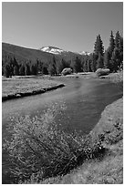 Lyell Fork of the Tuolumne River, morning. Yosemite National Park ( black and white)