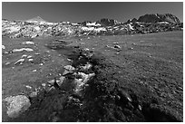 Meadow, stream, and Evelyn Lake. Yosemite National Park ( black and white)