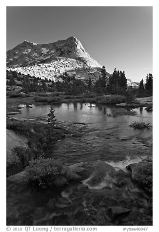 Vogelsang Peak reflected in stream pond. Yosemite National Park (black and white)