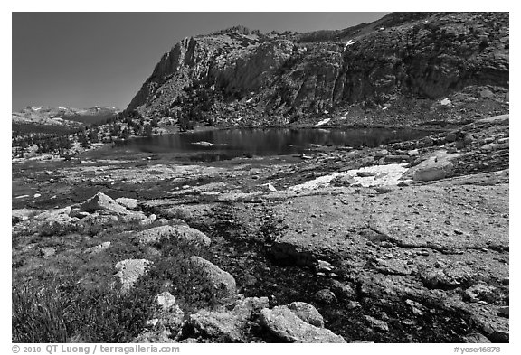 Alpine scenery with flowers, stream, lake, and mountains, Vogelsang. Yosemite National Park, California, USA.