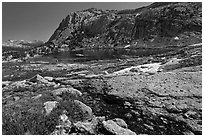 Alpine scenery with flowers, stream, lake, and mountains, Vogelsang. Yosemite National Park ( black and white)