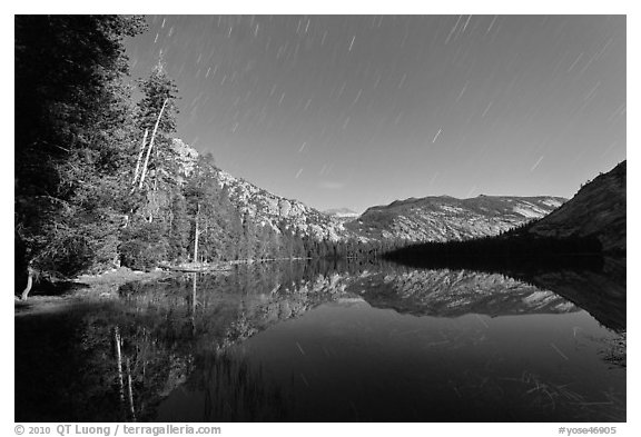 Merced Lake, tall trees, and stars. Yosemite National Park (black and white)