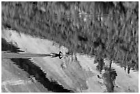 Duck and reflections, Merced Lake. Yosemite National Park, California, USA. (black and white)