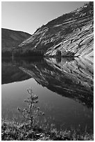 Pine sappling and granite domes reflected, Merced Lake. Yosemite National Park ( black and white)