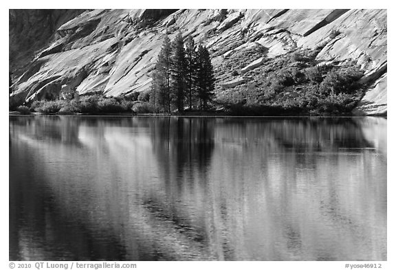 Trees and granite slabs reflected, Merced Lake. Yosemite National Park, California, USA.