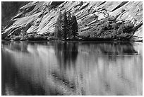 Trees and granite slabs reflected, Merced Lake. Yosemite National Park ( black and white)