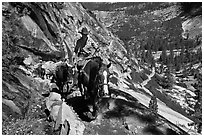 Woman leading horse pack train on trail, Upper Merced River Canyon. Yosemite National Park, California, USA. (black and white)