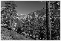 Above Echo Creek. Yosemite National Park ( black and white)