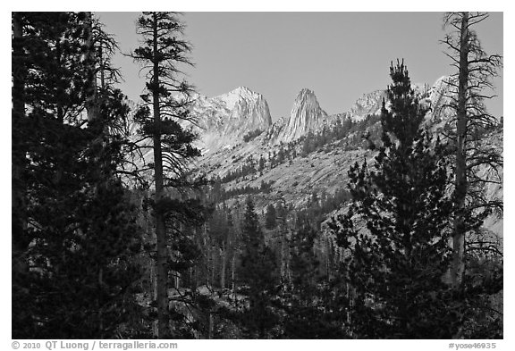 Matthews Crest from Cathedral Fork, dusk. Yosemite National Park (black and white)