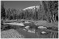 Stream in Long Meadow. Yosemite National Park, California, USA. (black and white)