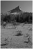 Meadow and Tressider Peak. Yosemite National Park ( black and white)
