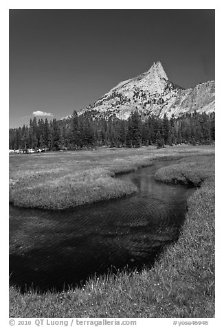 Stream and Cathedral Peak. Yosemite National Park (black and white)