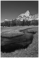 Stream and Cathedral Peak. Yosemite National Park ( black and white)
