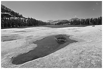 Colorful slab, pothole, and lower Cathedral Lake. Yosemite National Park, California, USA. (black and white)