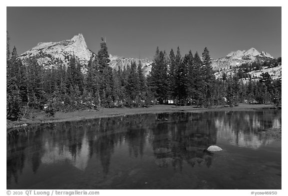 Cathedral range reflected in stream. Yosemite National Park (black and white)