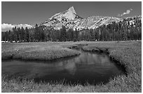 Cathedral Peak reflected in meandering stream. Yosemite National Park ( black and white)