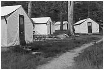 Tuolumne Lodge tents. Yosemite National Park, California, USA. (black and white)