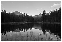 Mt Dana and Mt Gibbs reflected in tarn at sunset. Yosemite National Park, California, USA. (black and white)