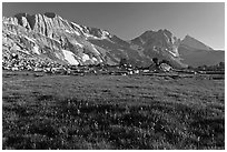 Meadow with summer flowers, North Peak crest. Yosemite National Park, California, USA. (black and white)