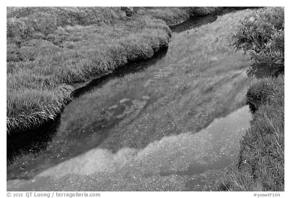 Mount Conness reflected in stream at sunset. Yosemite National Park (black and white)