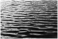 Ripples on Roosevelt Lake. Yosemite National Park ( black and white)