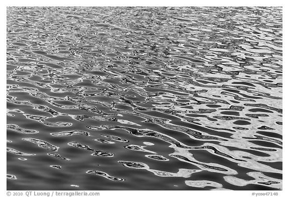 Lit mountain reflected in ripples, Roosevelt Lake. Yosemite National Park (black and white)