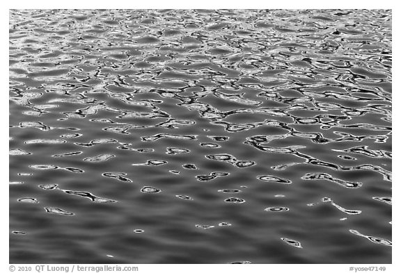 Rippled water abstract. Yosemite National Park, California, USA.