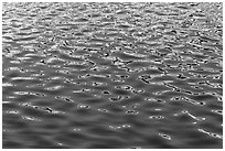Rippled water abstract. Yosemite National Park ( black and white)