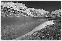 Sierra lakeshore with flowers and reflected mountain. Yosemite National Park, California, USA. (black and white)