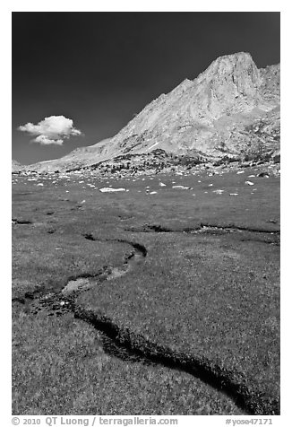 Alpine meadows, meandering stream, and Mount Conness. Yosemite National Park (black and white)