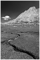 Alpine meadows, meandering stream, and Mount Conness. Yosemite National Park, California, USA. (black and white)