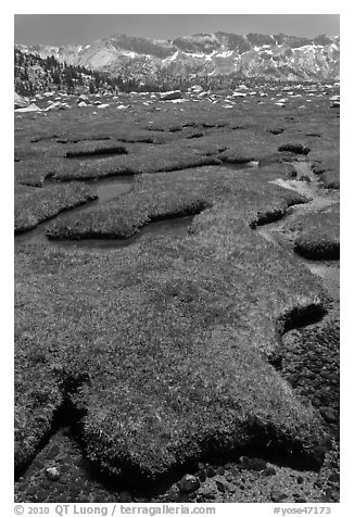 Meandering stream, meadow, and distant mountains. Yosemite National Park, California, USA.