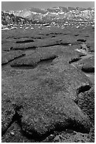 Meandering stream, meadow, and distant mountains. Yosemite National Park, California, USA. (black and white)