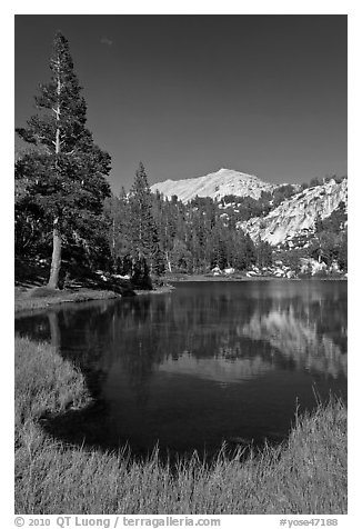 Middle Young Lake, afternoon. Yosemite National Park (black and white)