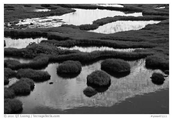 Tarns and reflection of mountain, late afternoon. Yosemite National Park (black and white)